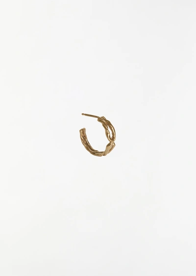 Shop Corali Archi Hoop In 14k Yellow Gold