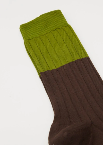 Shop Plan C Bi-color Short Socks In Pistacchio Chestnut Z3167