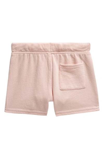 Shop Nordstrom Everyday Cotton Knit Shorts In Pink Lotus