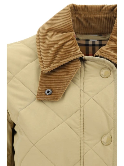 Shop Burberry Down Jackets In Honey