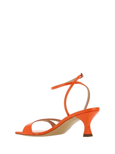 Shop Casadei Sandals In Tiffany Tulip