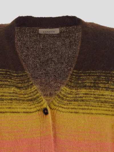 Shop Laneus Sweaters In Var3