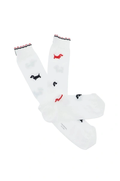 Shop Thom Browne Hector Socks In Cotton Piqué In White