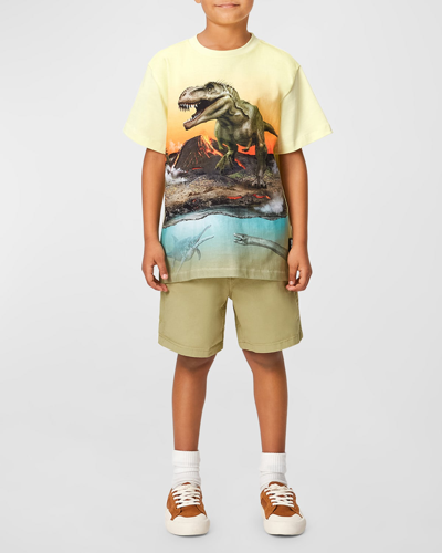 Shop Molo Boy's Riley Short-sleeve T-shirt In Volcano Dino