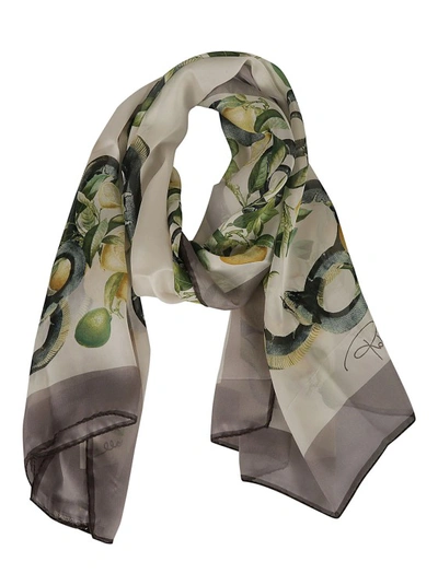 Shop Roberto Cavalli Silk All-over Floral Print Scarfs In Grey