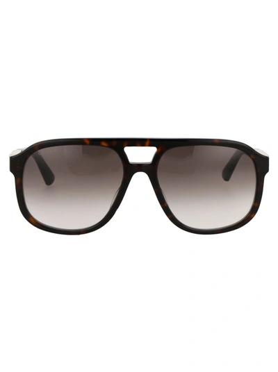 Shop Gucci Gg1188s In Brown