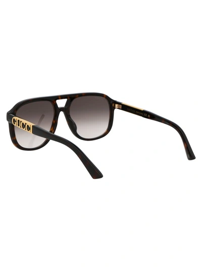 Shop Gucci Gg1188s In Brown