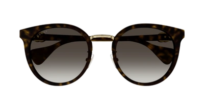 Pre-owned Gucci Sunglasses Gg1181sk 003 Havana Brown Woman