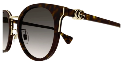 Pre-owned Gucci Sunglasses Gg1181sk 003 Havana Brown Woman