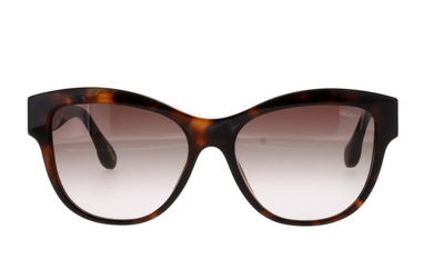 Pre-owned Chopard Sunglasses Sch287s 01ay 55 Shiny Dark Havana In Brown