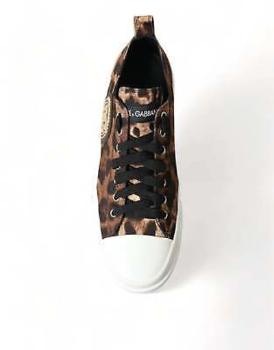Pre-owned Dolce & Gabbana Brown Leopard Canvas Sneakers Shoes In Refer To Description