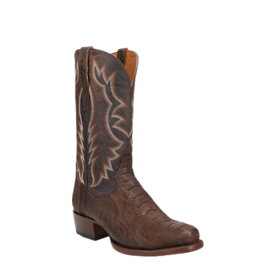 Pre-owned Dan Post Men's Anders Ostrich Square Toe Western Boots Dp3103 In Brown