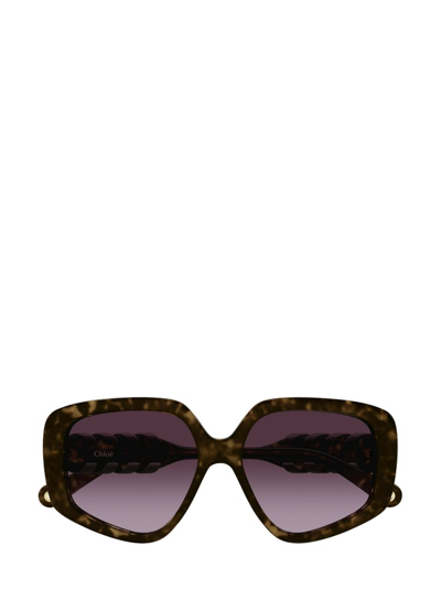 Shop Chloé Eyewear Squared Frame Sunglasses In Multi