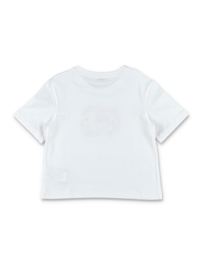 Shop Dolce & Gabbana Cotton Garden Print T-shirt In White