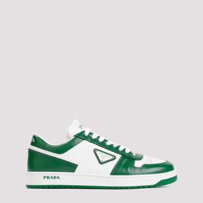 Shop Prada Downtown Lace-up Sneakers In Faz Bianco Verde