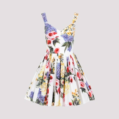 Shop Dolce & Gabbana Rose Print Mini Dress In Hayb Giardino Bianco