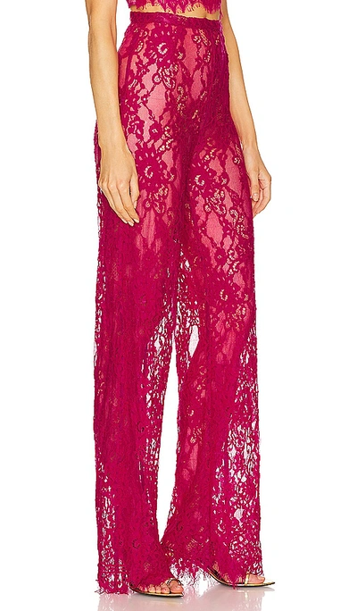 Shop Bronx And Banco Capri Pant In Fuchsia