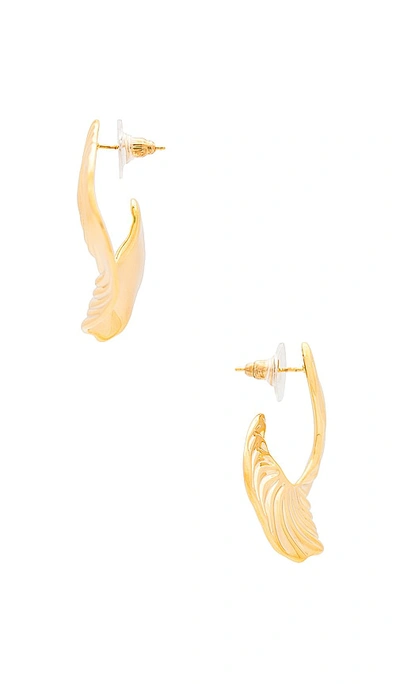 Shop Amber Sceats Curve Earrings In Gold