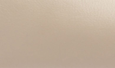 Bruno Magli Telma Pointed Toe Pump In Nude Calf