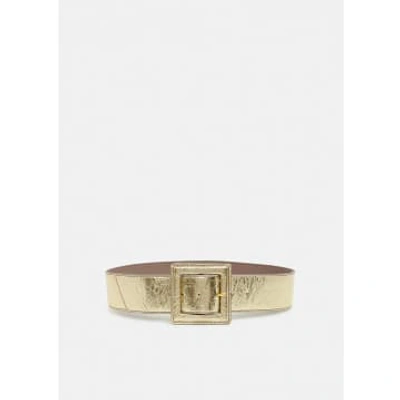 Shop Essentiel Antwerp Fumigate Waist Belt In Gold