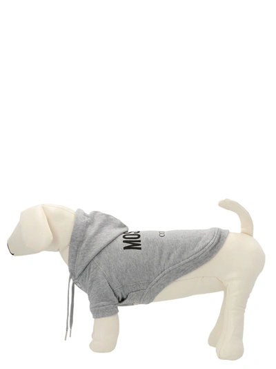 Shop Moschino Capsule Pets Hoodie Pets Accesories Gray