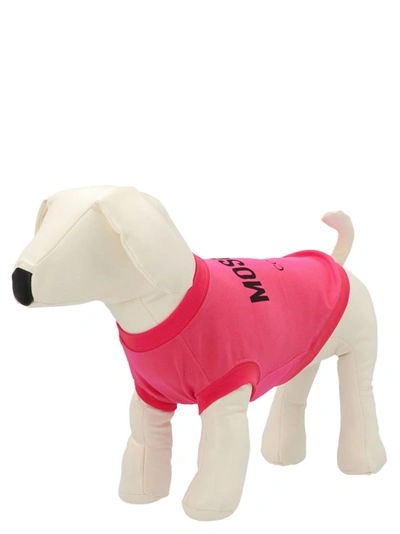 Shop Moschino Pets Capsule Sweatshirt Pets Accesories Fuchsia