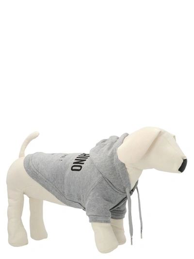 Shop Moschino Capsule Pets Hoodie Pets Accesories Gray