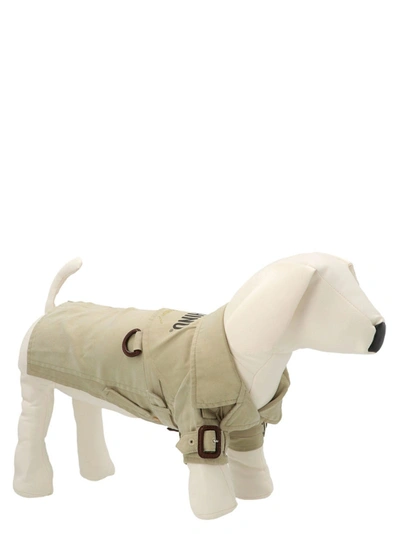 Shop Moschino Pets Capsule Trench Pets Accesories Beige