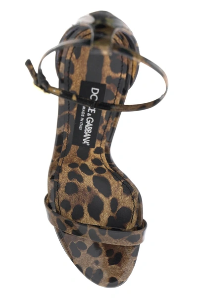 Shop Dolce & Gabbana Leopard Print Glossy Leather Sandals Women In Brown