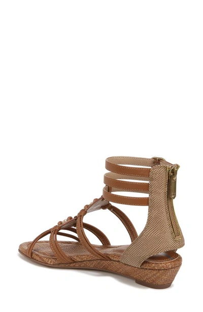 Shop Sam Edelman Danica Wedge Sandal In Saddle/ Chai Cream