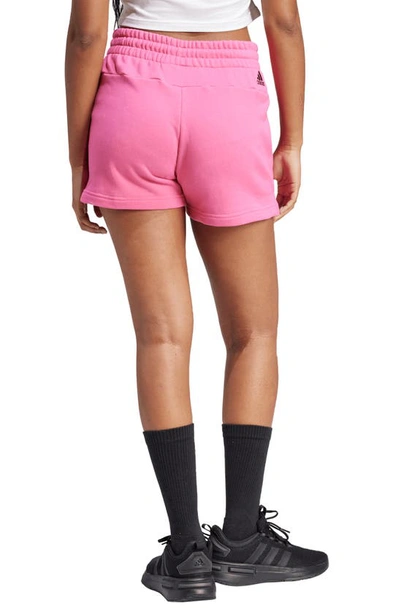 Shop Adidas Originals Sportswear Essentials Linear French Terry Shorts In Pulse Magenta/ Black