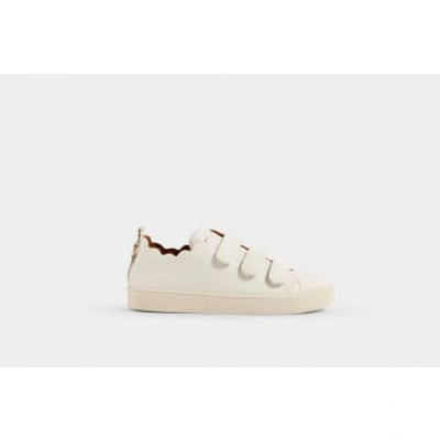 Shop Maison Toufet Julianne Scallop Off White Velcro Leather Sneakers