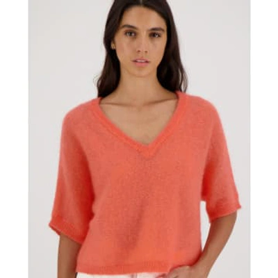 Shop Les Racines Du Ciel Cianna V Neck Sweater Coral In Pink