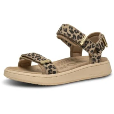 Shop Woden Line Sandals-leopard-wl932 In Animal Print