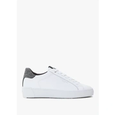 Shop Android Homme Mens Zuma Reflective Caviar Trainers In White