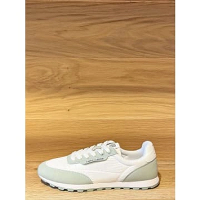Shop Candice Cooper Plume Trainers Mint & White In Green