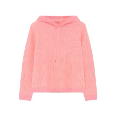 Shop Gustav Iris Knit Hoody In Quartz Pink
