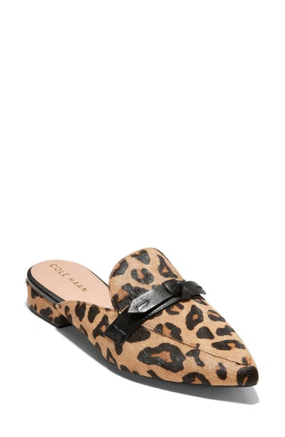 Shop Cole Haan Piper Bow Mule In Leopard Ha