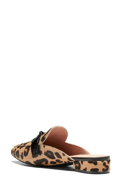 Shop Cole Haan Piper Bow Mule In Leopard Ha