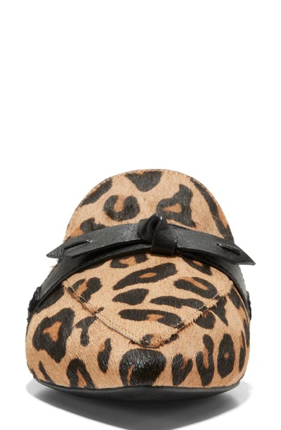 Cole Haan Piper Bow Mule In Leopard Ha
