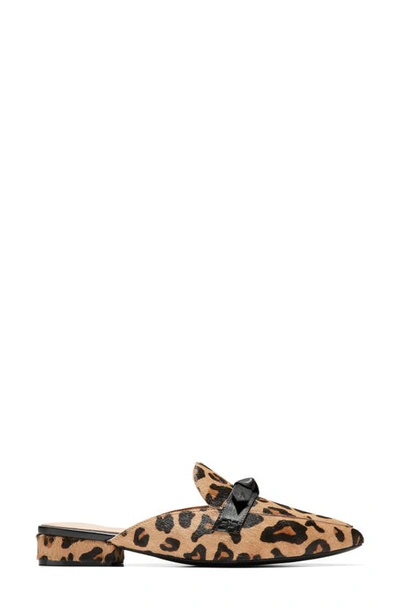 Shop Cole Haan Piper Bow Mule In Leopard Ha