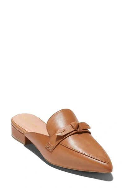 Shop Cole Haan Piper Bow Mule In Pecan Ltr