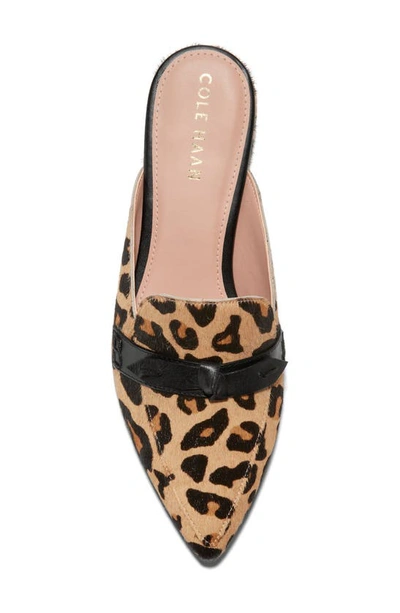 Shop Cole Haan Piper Bow Mule In Leopard Ha