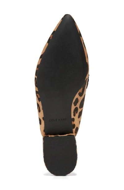 Shop Cole Haan Piper Bow Mule In Leopard Ha