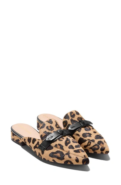 Shop Cole Haan Piper Bow Mule In Leopard Ha