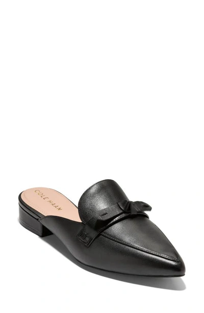 Shop Cole Haan Piper Bow Mule In Black Ltr