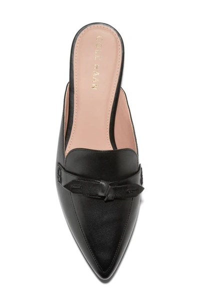 Shop Cole Haan Piper Bow Mule In Black Ltr