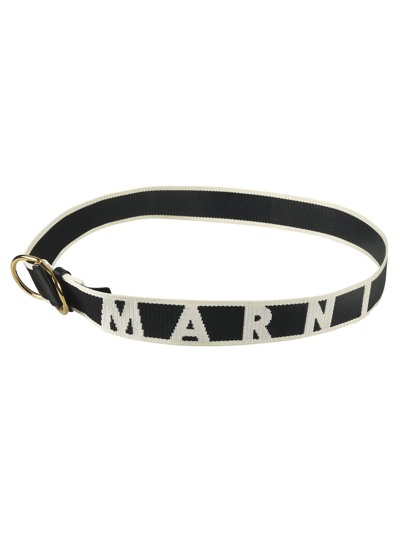 Shop Marni Logo Detail Belt In Black