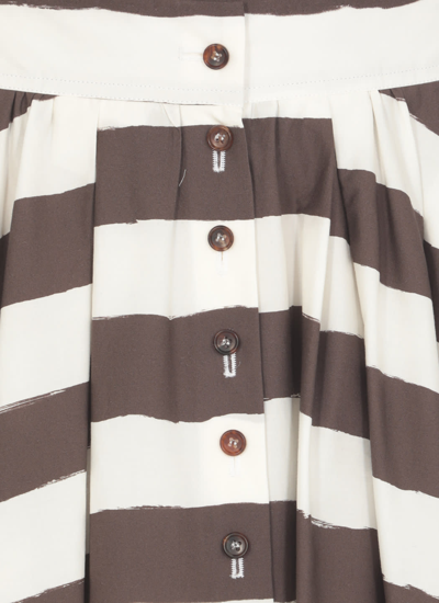 Shop Philosophy Di Lorenzo Serafini Cotton Skirt In Brown