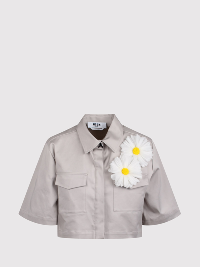 Shop Msgm Cropped Shirt With Daisies